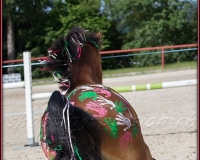 1-13JUIN 0907
